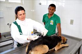 Feira de Adoção de Animais acontece no calçadão de Campos Elíseos