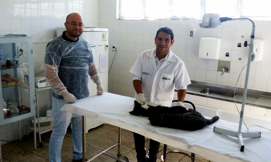 MAIS 300 ANIMAIS SERÃO BENEFICIADOS COM CIRURGIAS GRATUITAS NO CCZ DE RESENDE